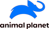 animal planet